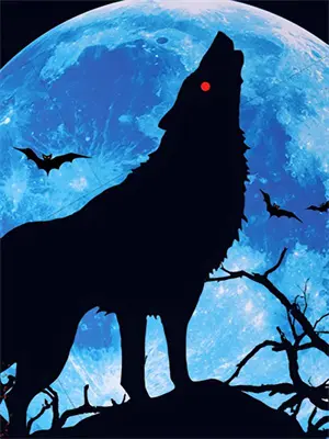 帕罗西汀处方单图片