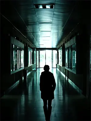 白猫大人很骄傲 小说