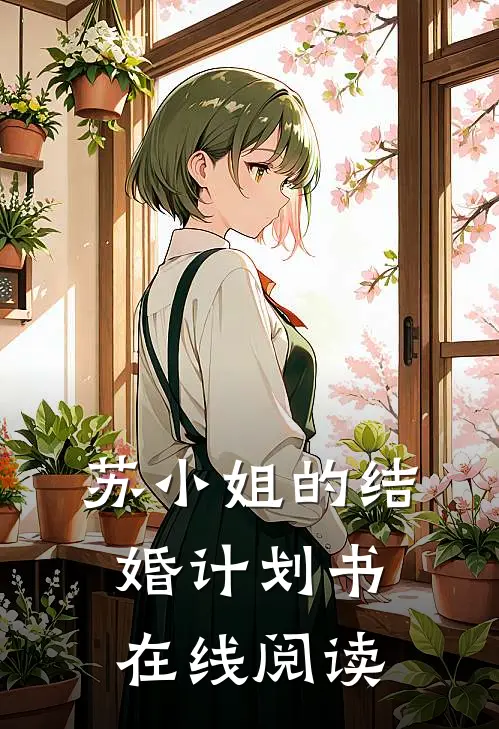 苏小姐的结婚计划书在线阅读